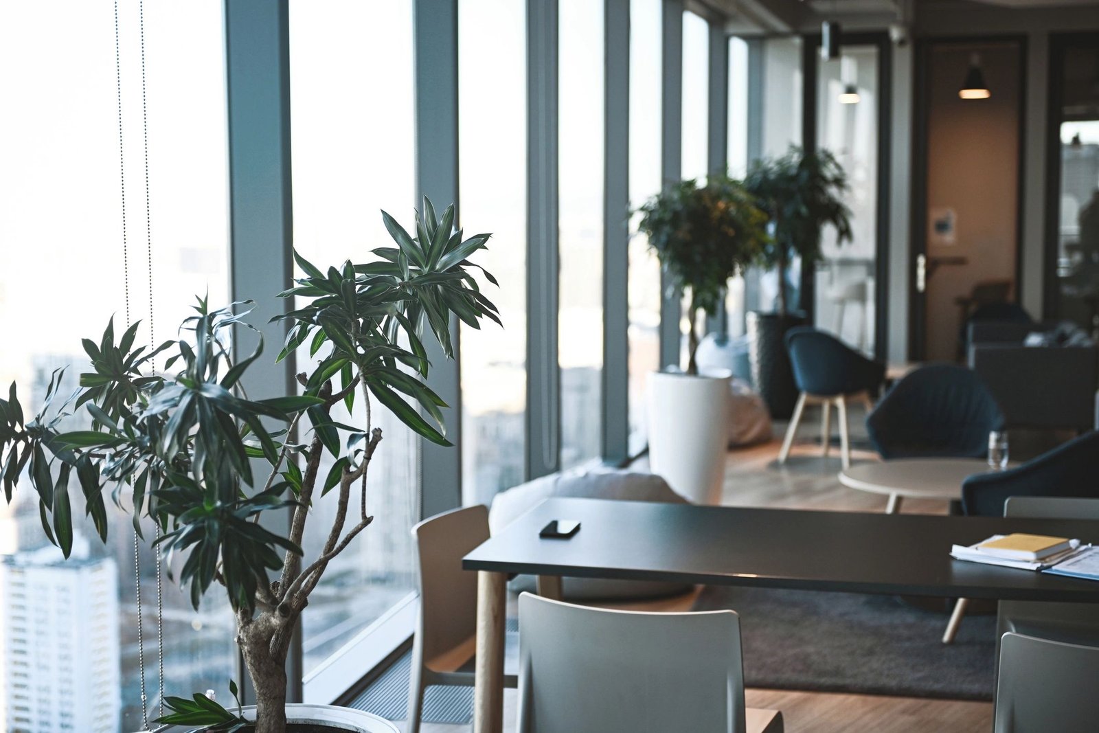 Modern interior featuring warm wood finishes